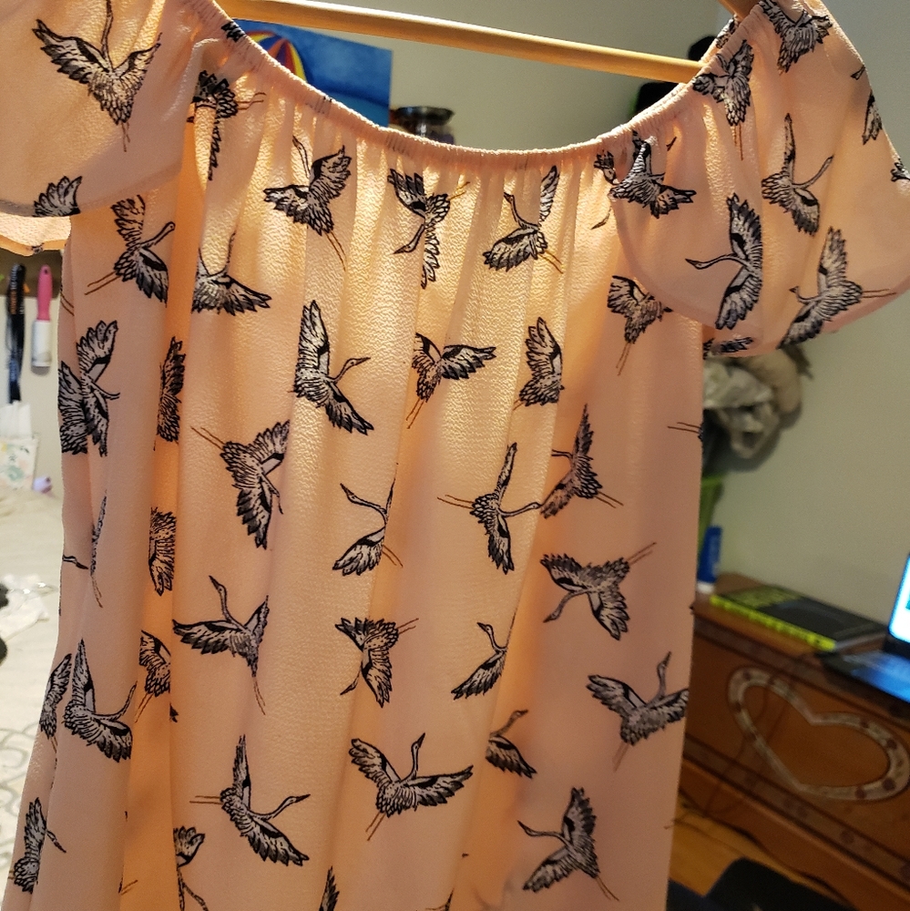 Spring birds